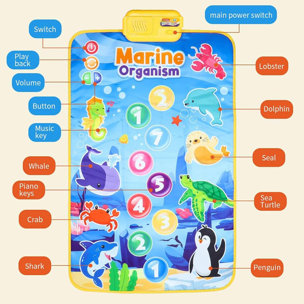 Tapis Musical et Jouet Éducatif pour Enfants 63x43cm – بساط ألعاب للرضع - Jouet & Gaming - صورة 2