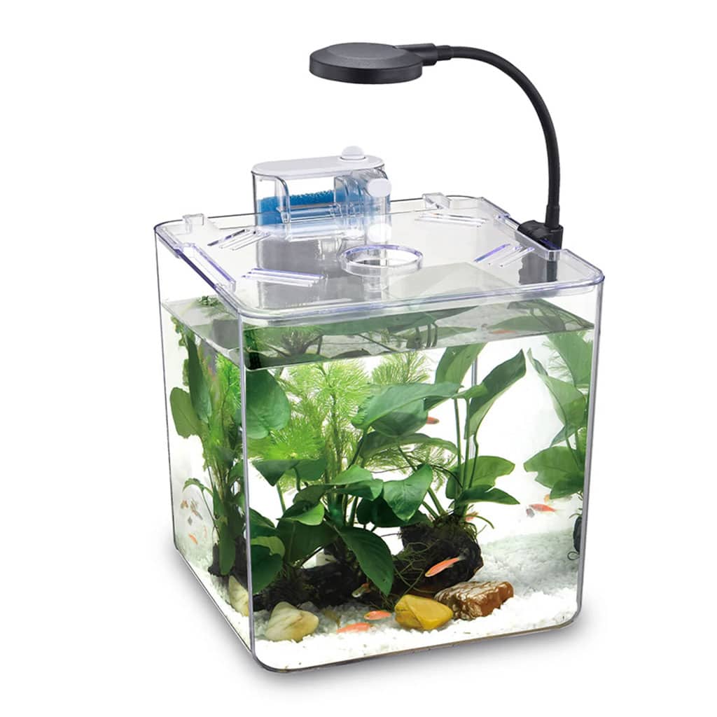 Kit mini aquarium nanbor avec système de filtrage et lampe led – حوض أسماك مع مصباح