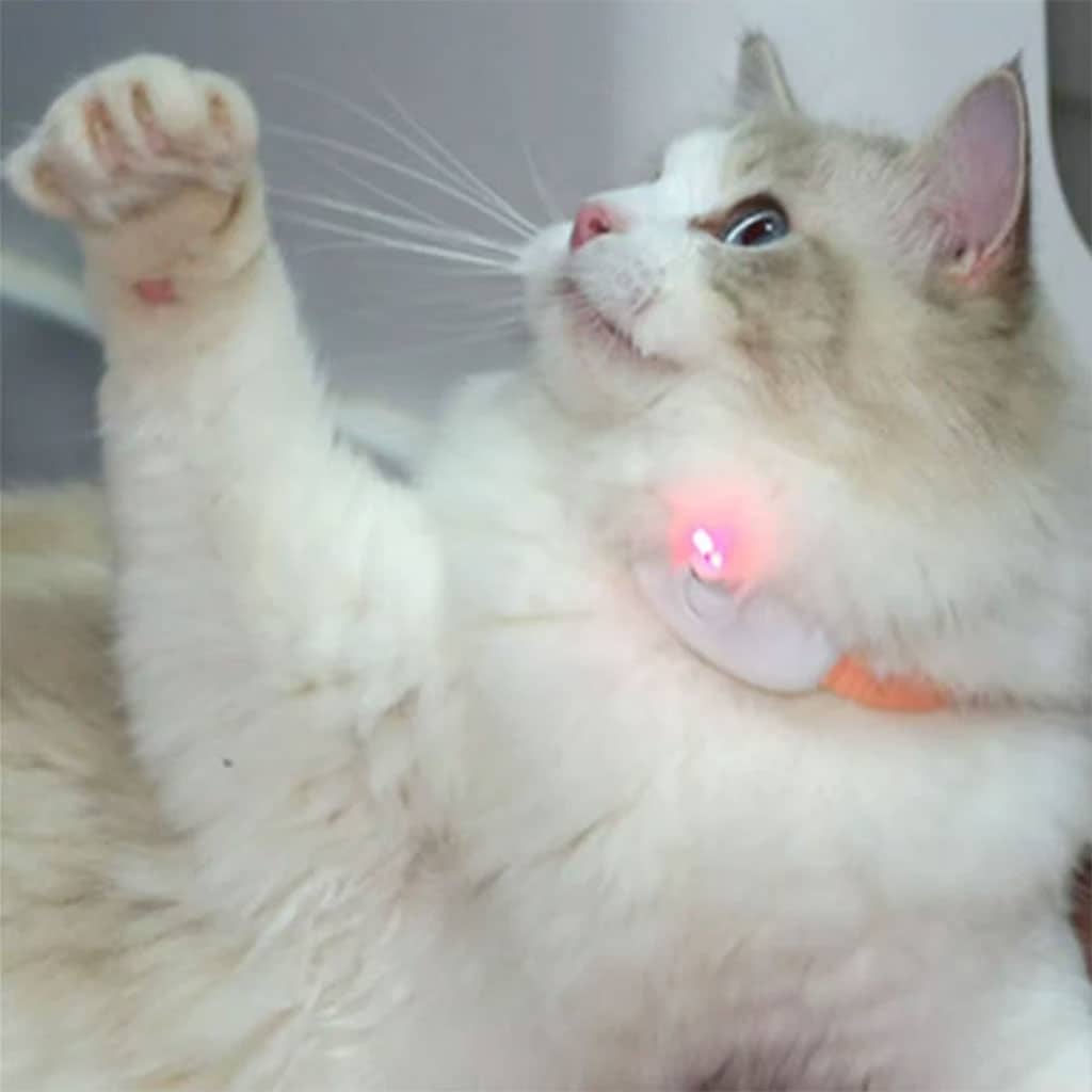 Collier Laser LED un Jouet Interactif pour Chat – سوار ليزر للقطط - Divers - صورة 4