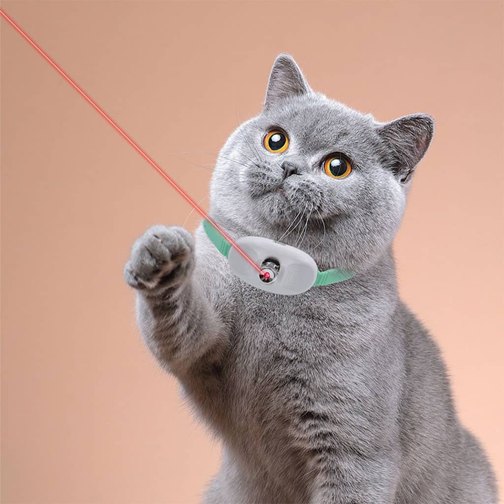Collier Laser LED un Jouet Interactif pour Chat – سوار ليزر للقطط - Divers - صورة 6