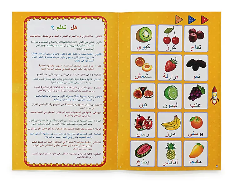 الكتاب الالكتروني للمفردات العربية لتعليم سهل و مرح Livre Electronique De Vocabulaire Arabe Pour Un Apprentissage Facile Et Amusant - Divers - صورة 5