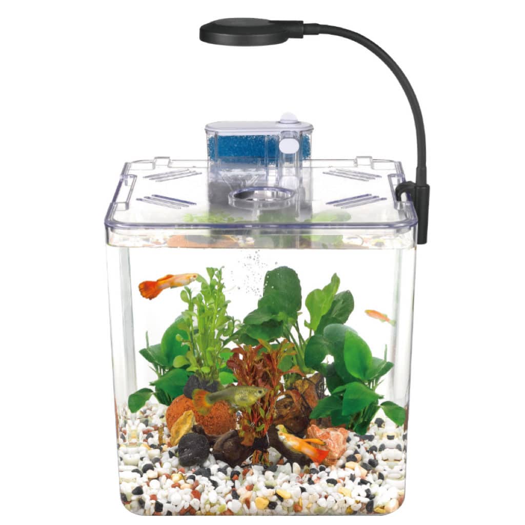Kit mini aquarium nanbor avec système de filtrage et lampe led – حوض أسماك مع مصباح — معاينة 3