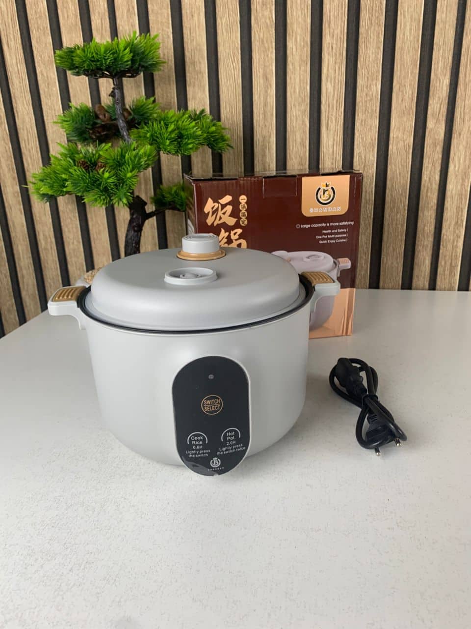 Cuiseur Electrique Multifonctionnel pour la Cuisine 20cm – جهاز طهي محمول — معاينة 7
