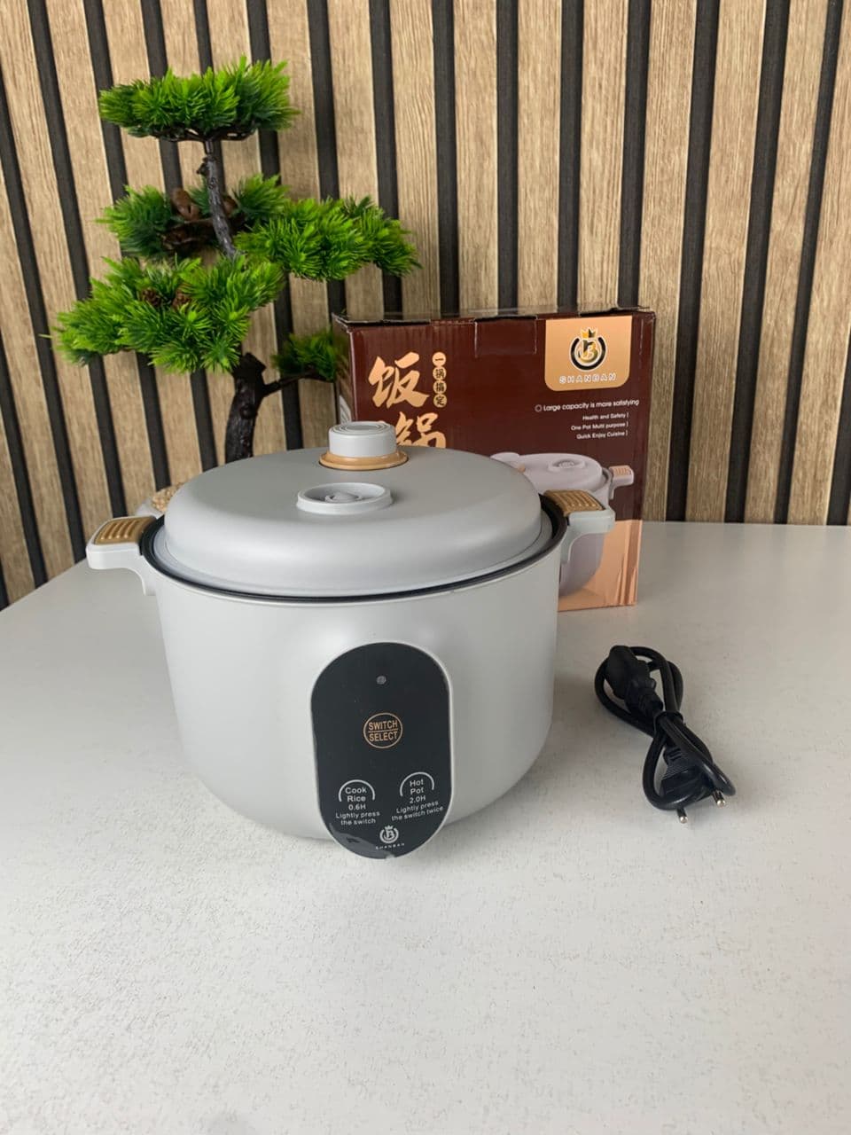 Cuiseur Electrique Multifonctionnel pour la Cuisine 20cm – جهاز طهي محمول — صورة حقيقية 7