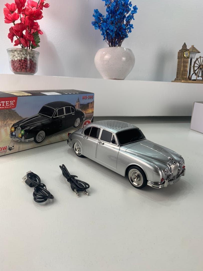 Haut-parleur de Voiture de Musique sans Fil 10W avec Modes de Lecture Multiples – مكبر صوت سيارة موسيقي - Électronique - صورة حقيقية 6