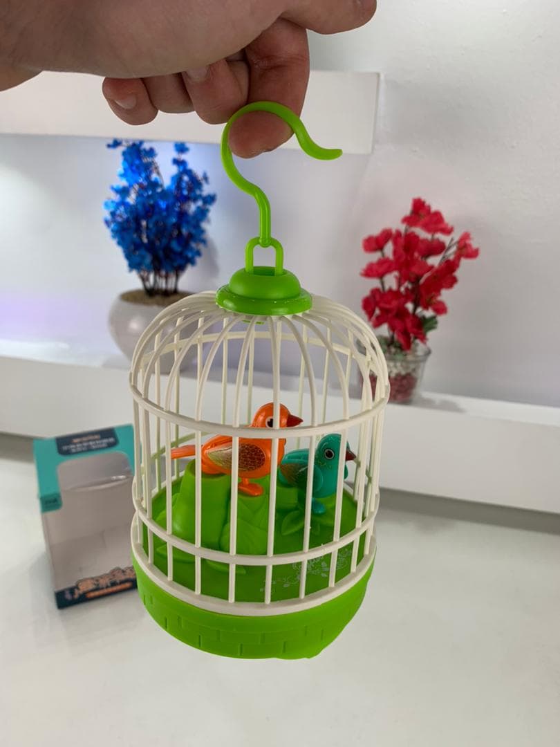 Jouet Électrique de Simulation de Cage à Oiseaux avec Contrôle Sonore – لعبة قفص الطيور المكررة للكلام - Jouet & Gaming - صورة حقيقية 7