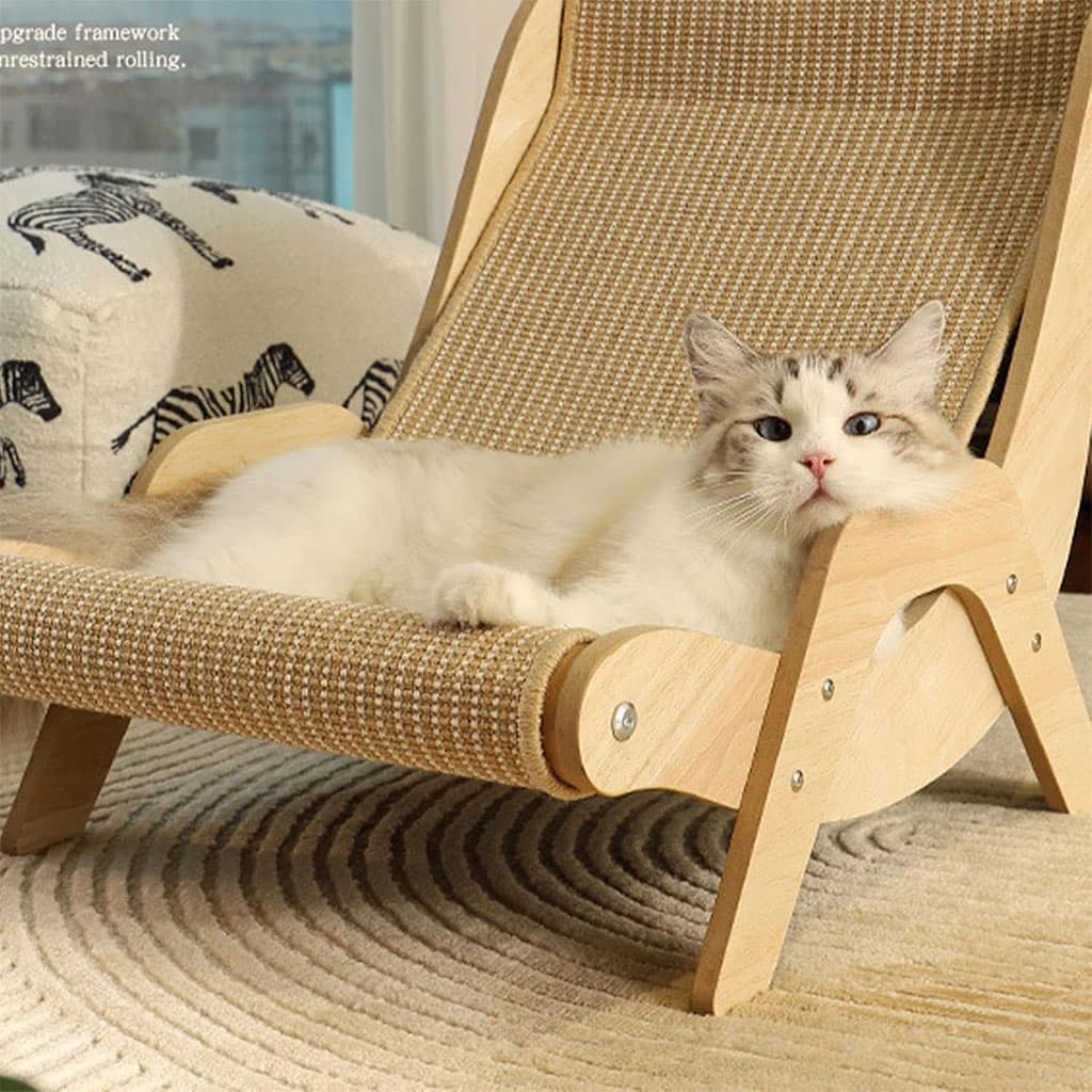 Chaise Longue en Sisal pour Chat et Animaux de Compagnie – كرسي للقط والحيونات الأليفة - Divers - صورة 2