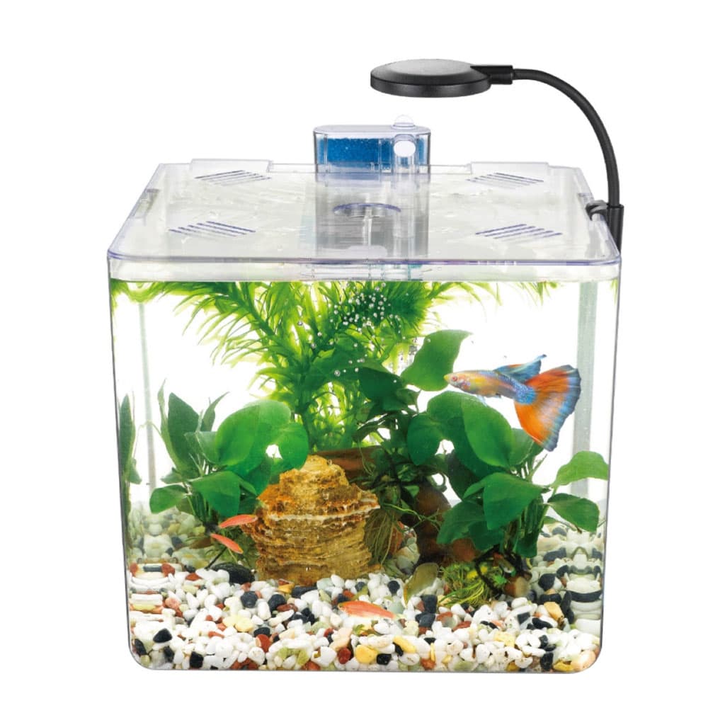 Kit mini aquarium nanbor avec système de filtrage et lampe led – حوض أسماك مع مصباح - Décoration - صورة 4
