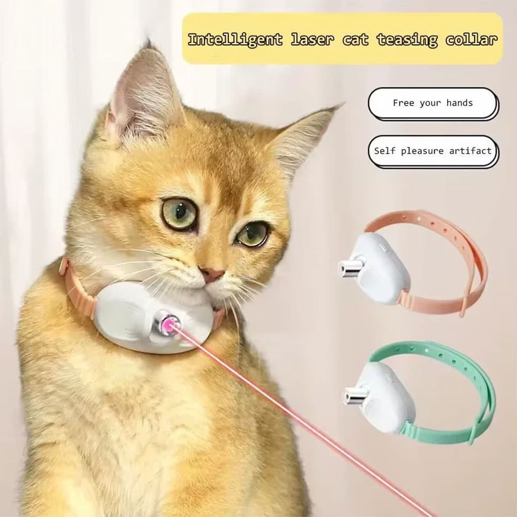 صورة توضيحية 7