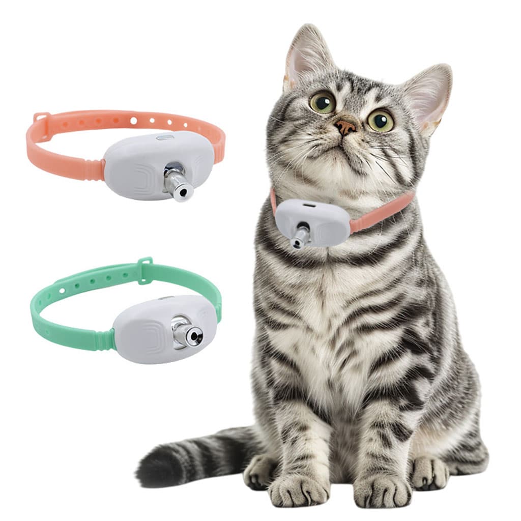 Collier Laser LED un Jouet Interactif pour Chat – سوار ليزر للقطط - Divers - صورة 5