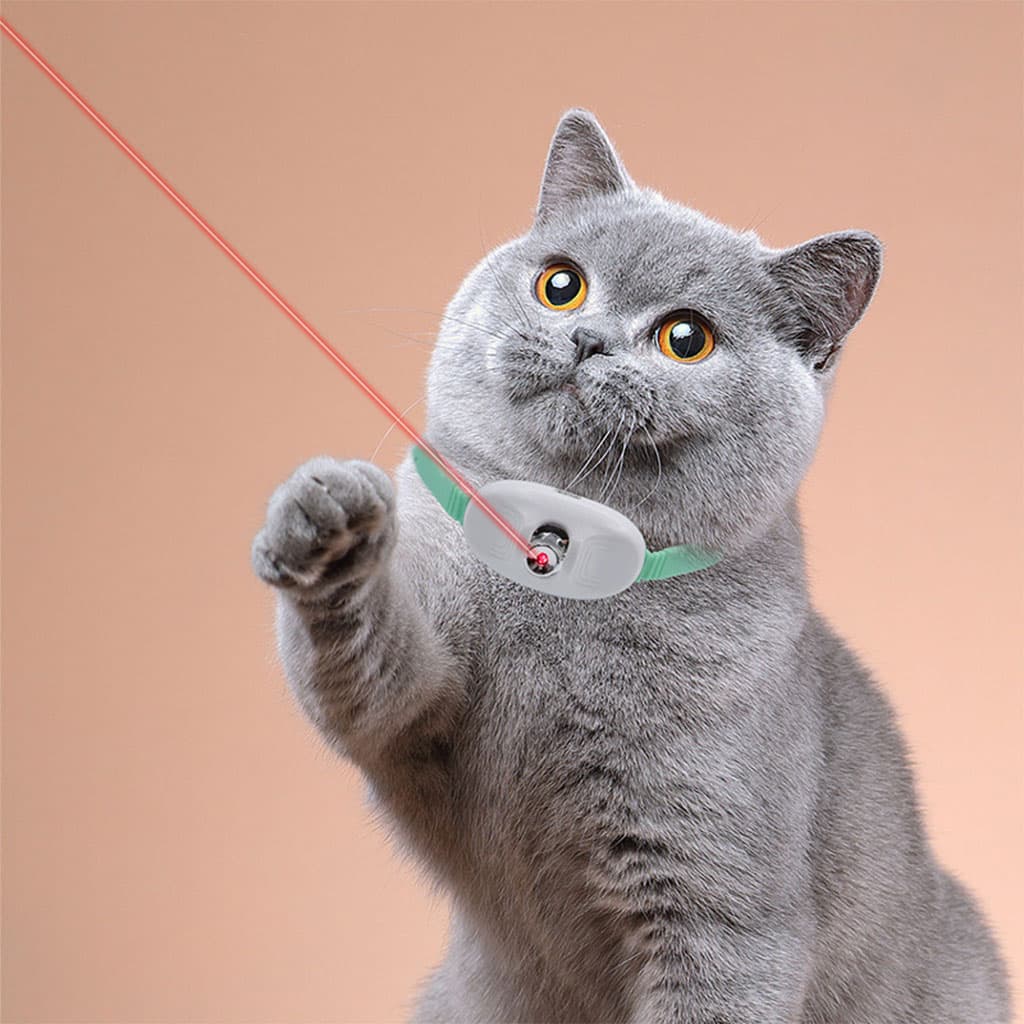 Collier Laser LED un Jouet Interactif pour Chat – سوار ليزر للقطط - Divers - صورة 6
