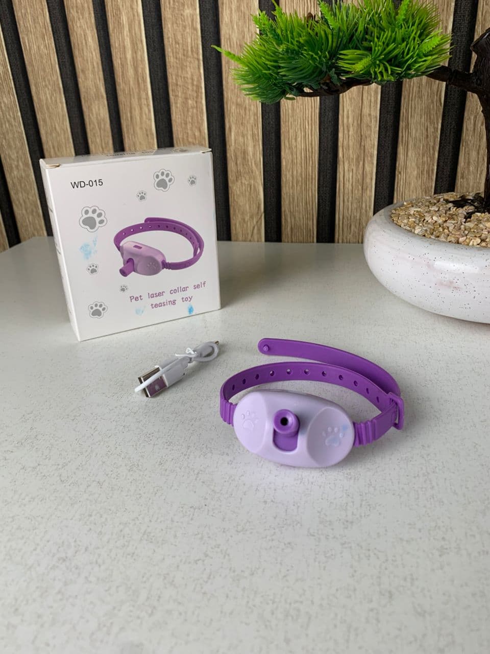 Collier Laser LED un Jouet Interactif pour Chat – سوار ليزر للقطط - Divers - صورة حقيقية 7