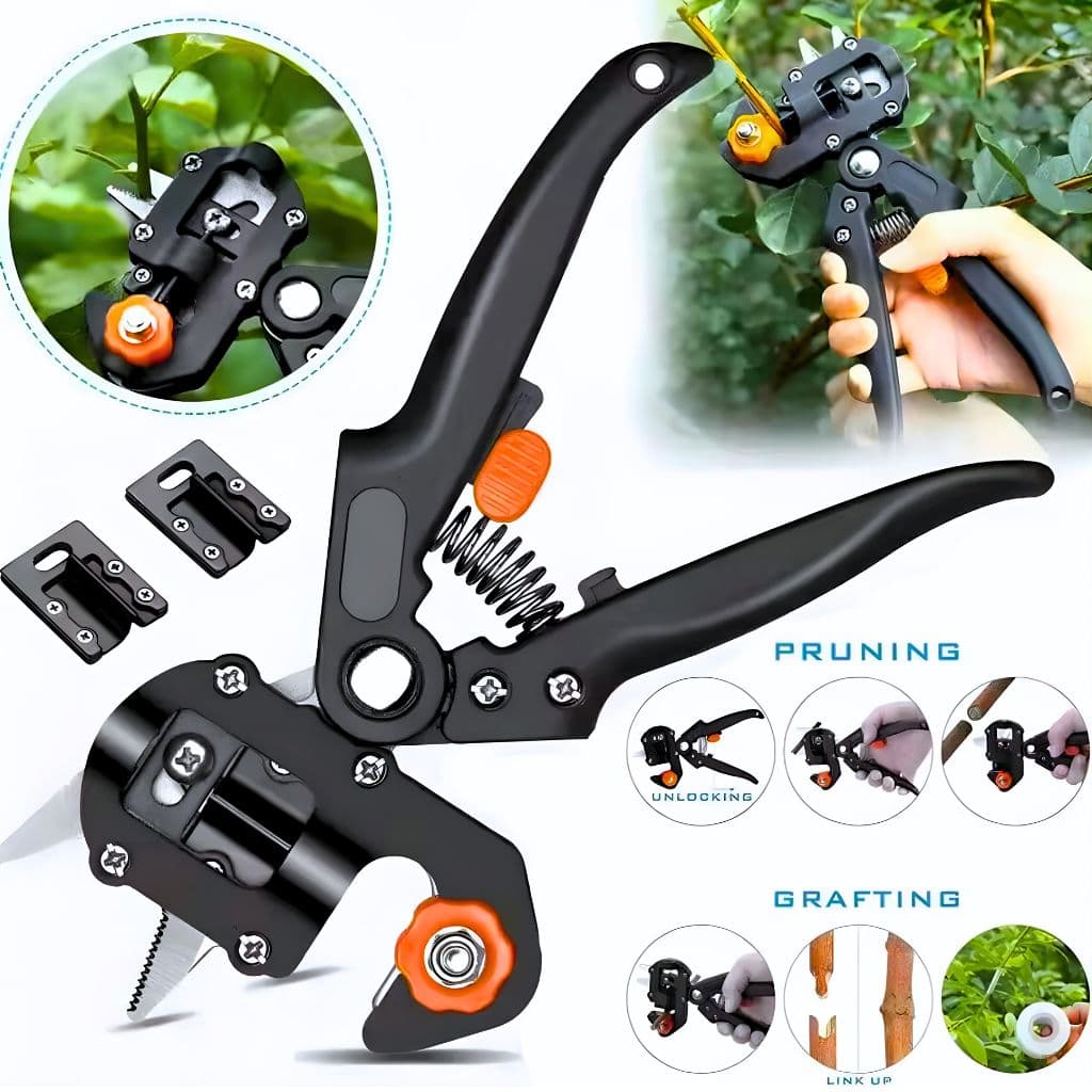 Ciseau de jardin à deux lames pour greffer des arbres - Outillage et Bricolage - صورة 1