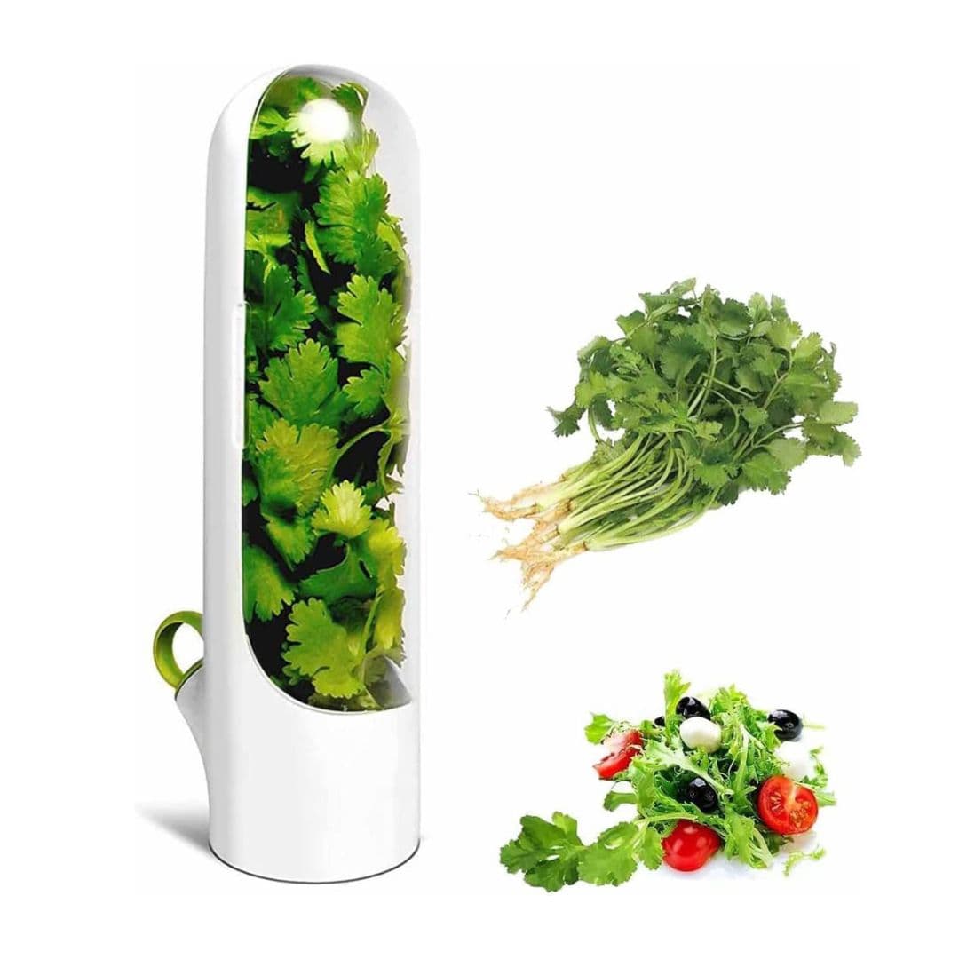 Capsule de stockage et conservation d'herbes - Cuisine - صورة 1