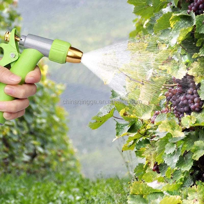 صورة توضيحية 2
