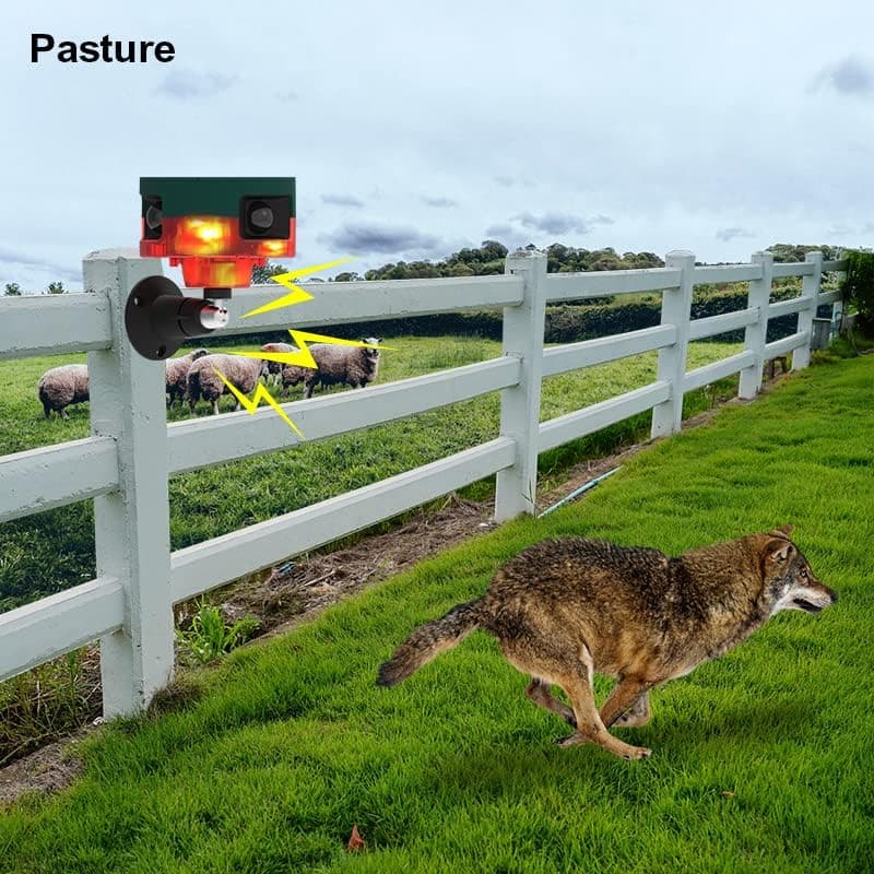 Répulsif pour animeux Capteur de mouvement à énergie solaire, alarme sonore et lumineuse 6 LED - مستشعر حركة يعمل بالطاقة الشمسية لطارد الحيوانات — صورة 6