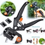 Ciseau de jardin à deux lames pour greffer des arbres